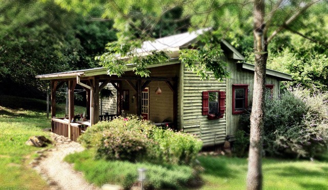 Zen Mountain Cabin: Forest-Bathing & Private Waterfall in Wine Country