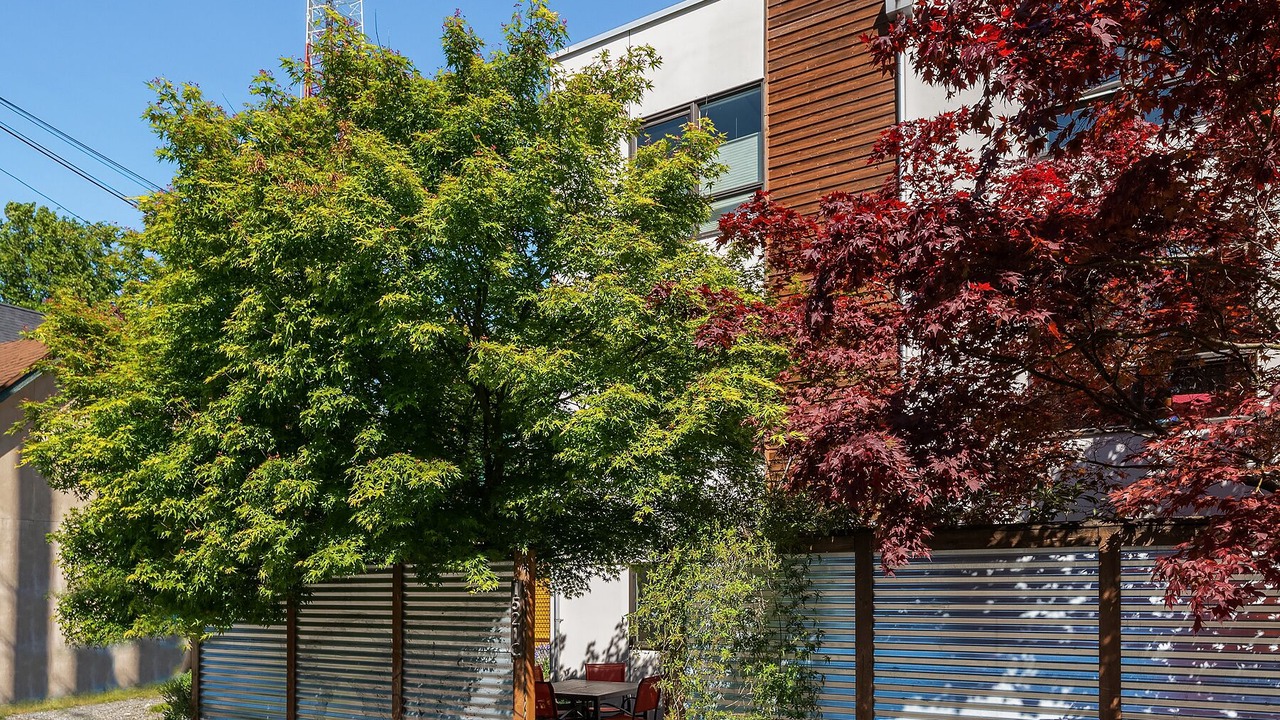 Photo of Outdoor in Minor