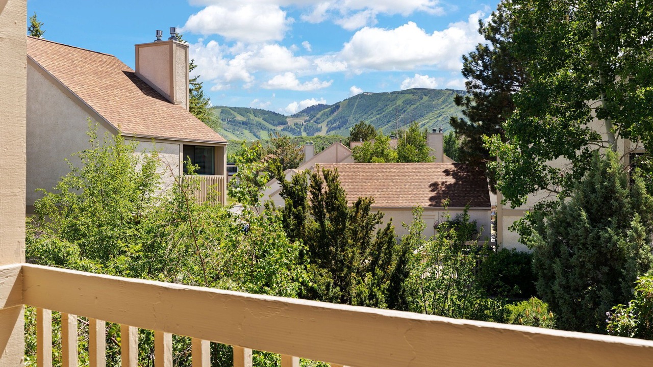 Photo of Outdoor in Park Meadows