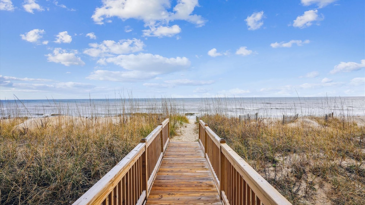 Photo of Outdoor in Carolina Dunes