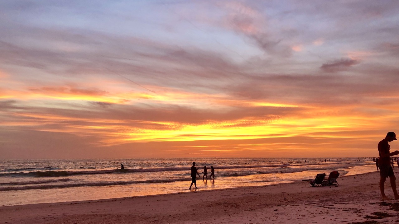 Photo of Others in Sarasota
