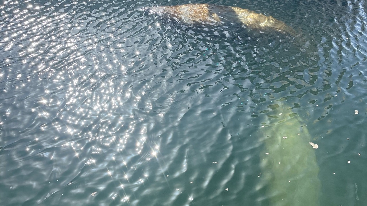 Photo of Others in Key West