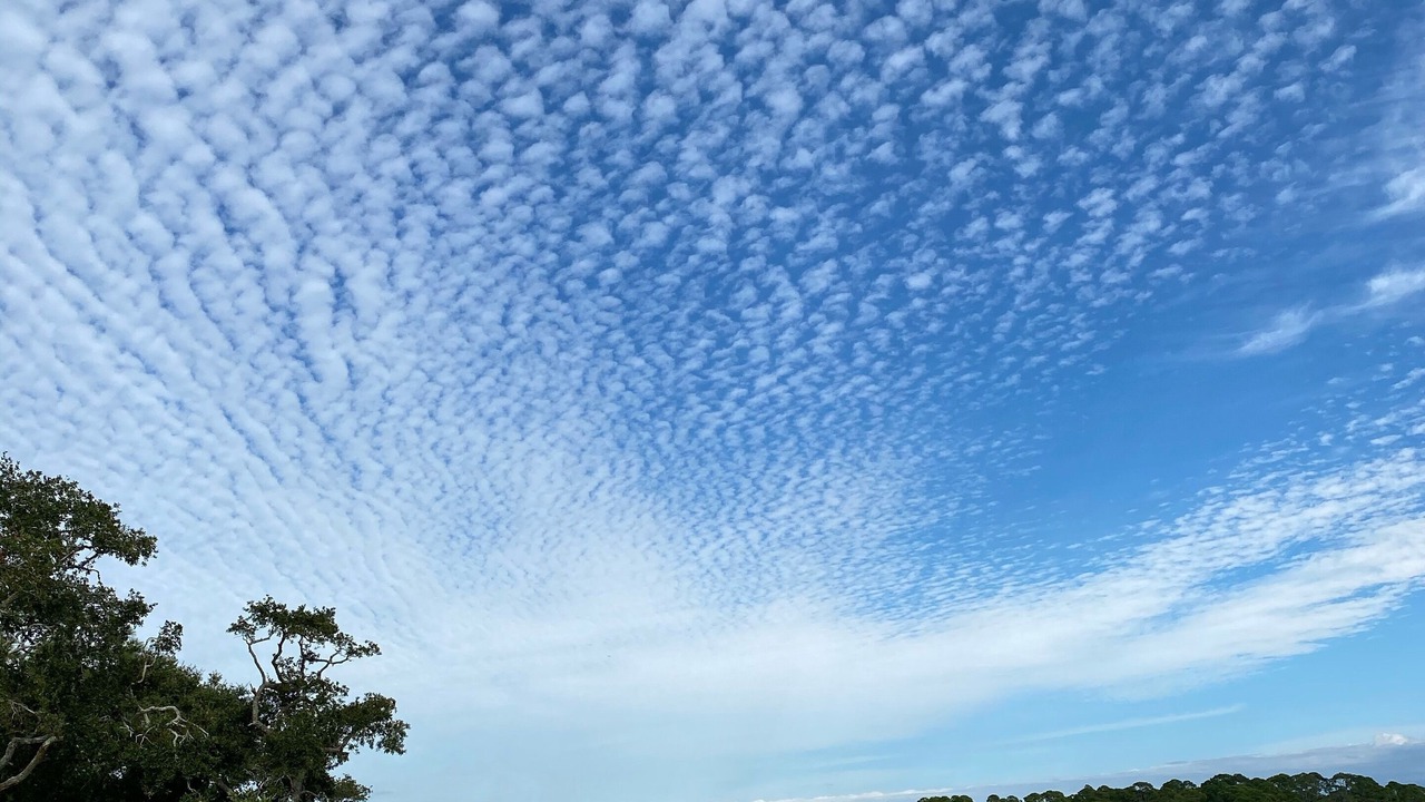 Photo of Others in Saint Helena Island