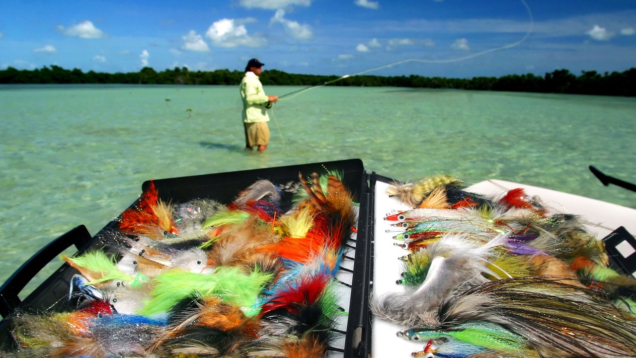 Photo of Others in Key West