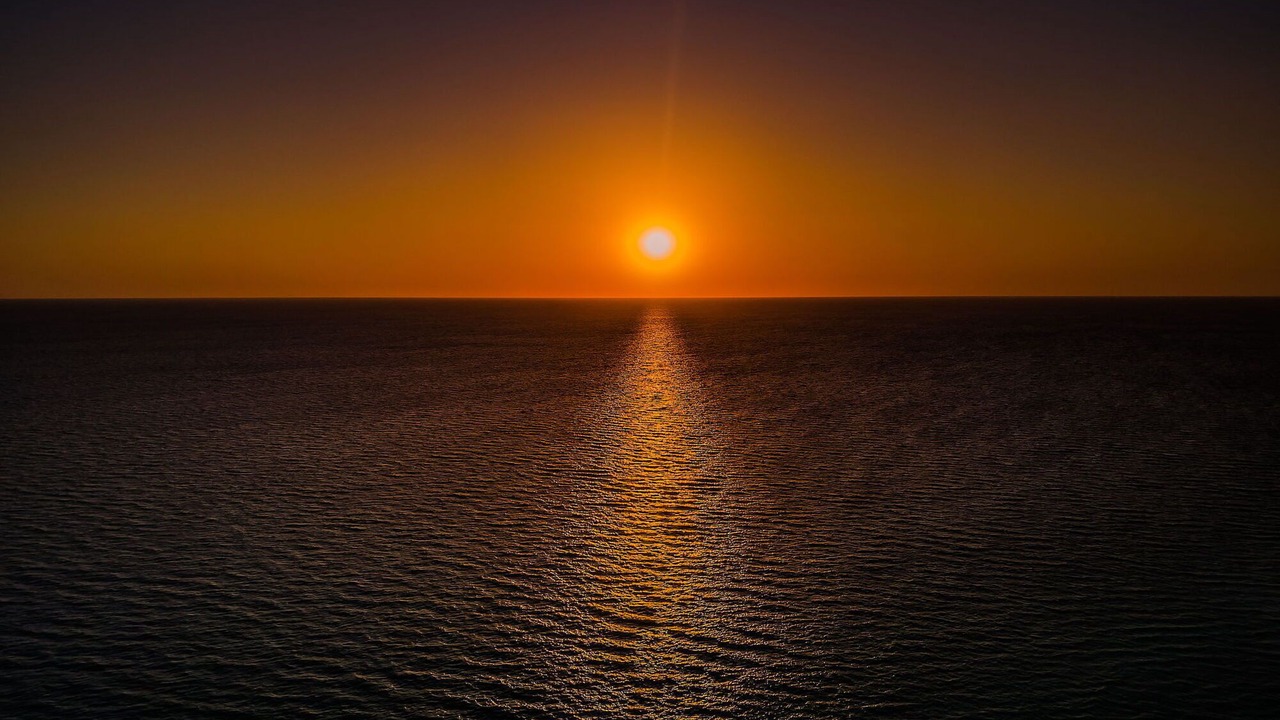 Photo of Others in Indian Rocks Beach