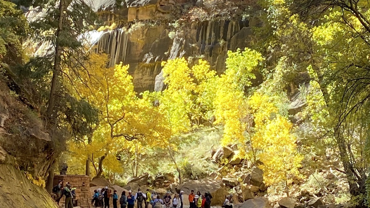 Photo of Others in Zion National Park South Entrance