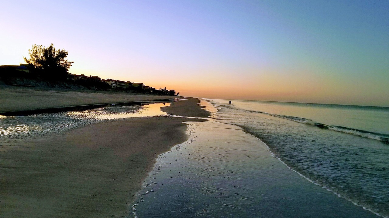 Photo of Others in Indian Rocks Beach