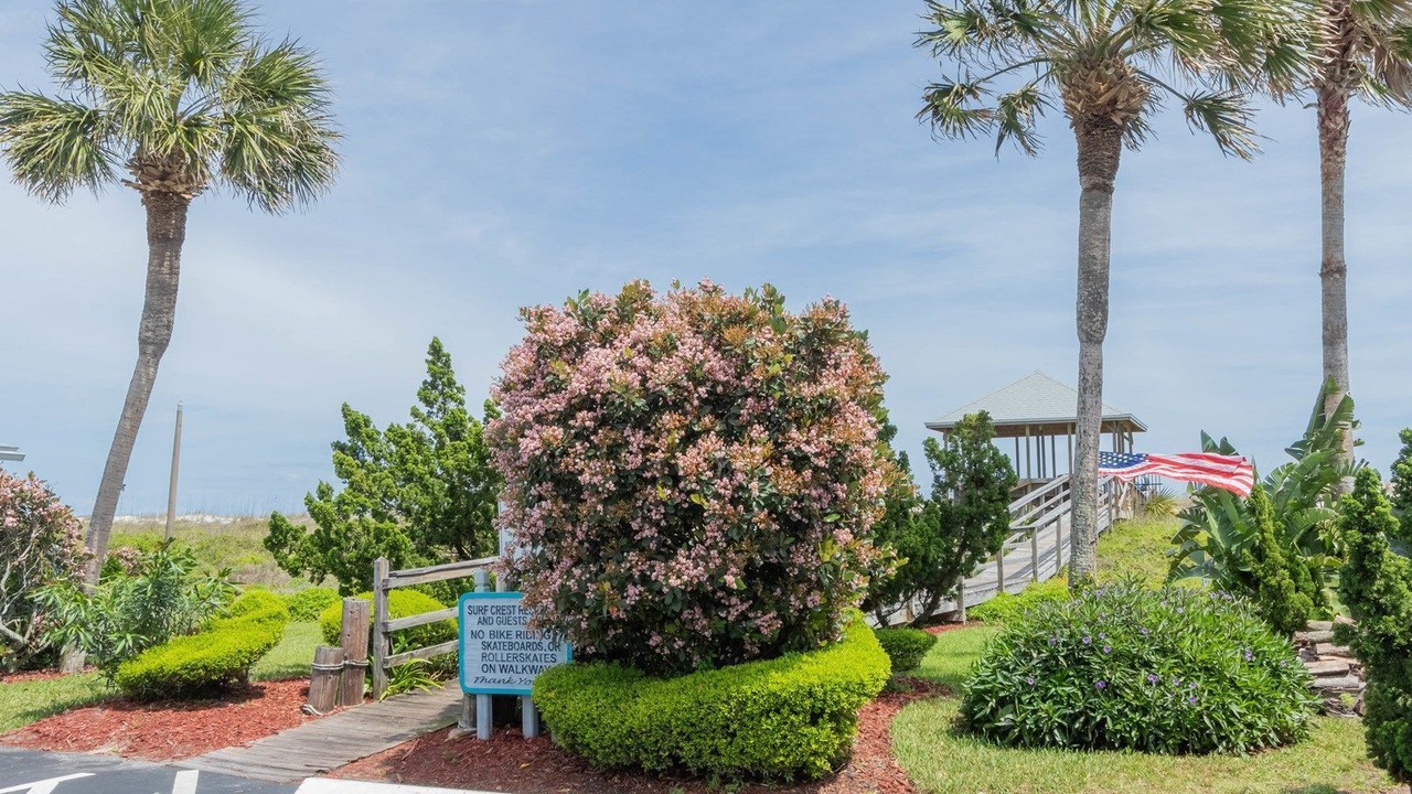 Photo of Others in St. Augustine Beach