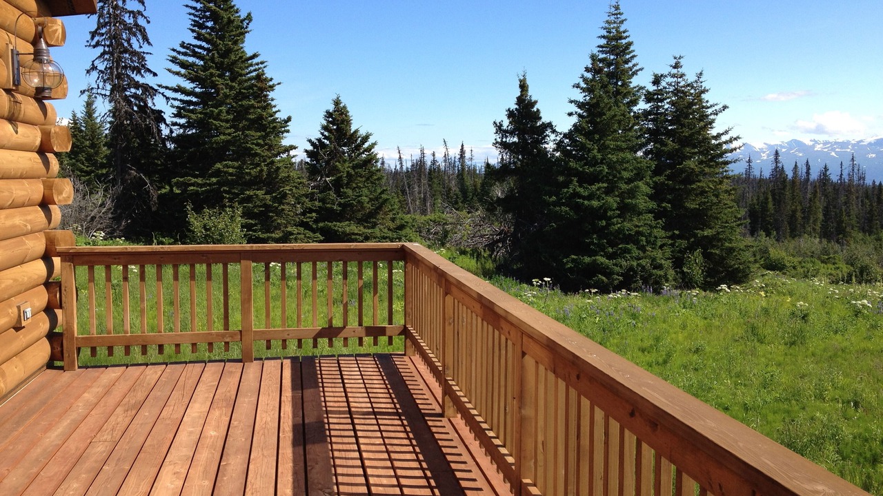 Photo of Outdoor in Homer