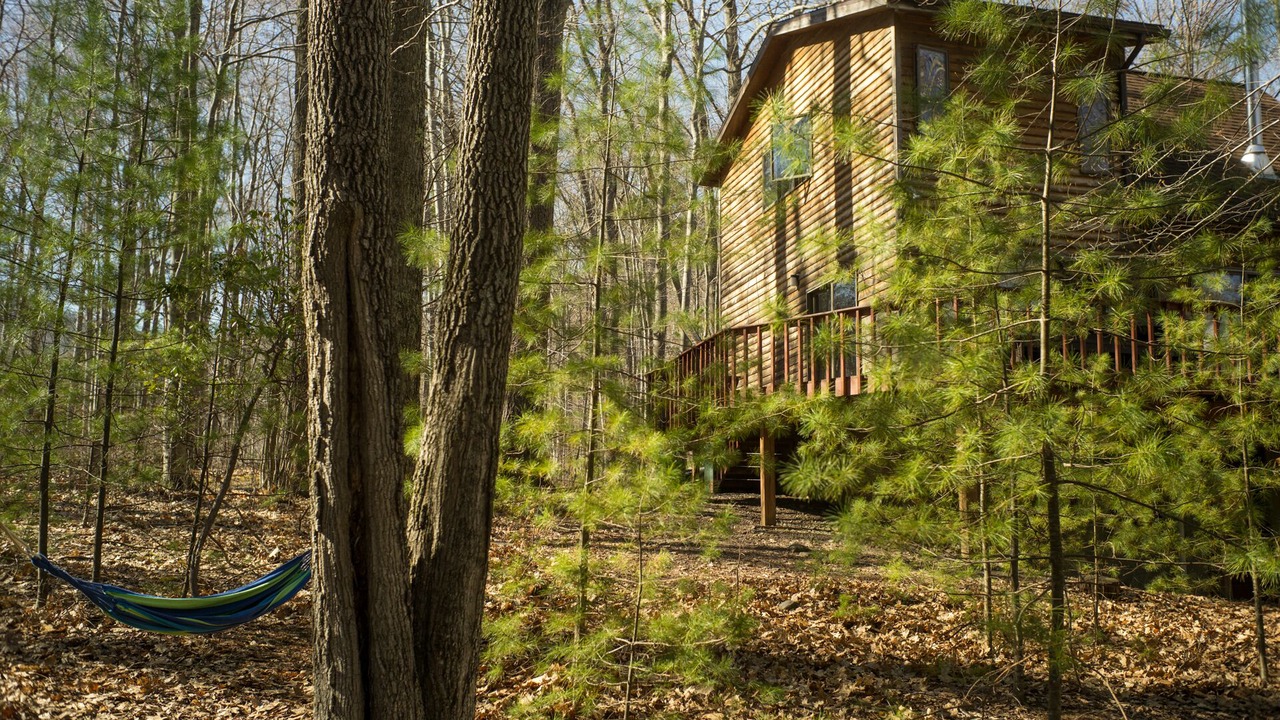 Photo of Others in Willow