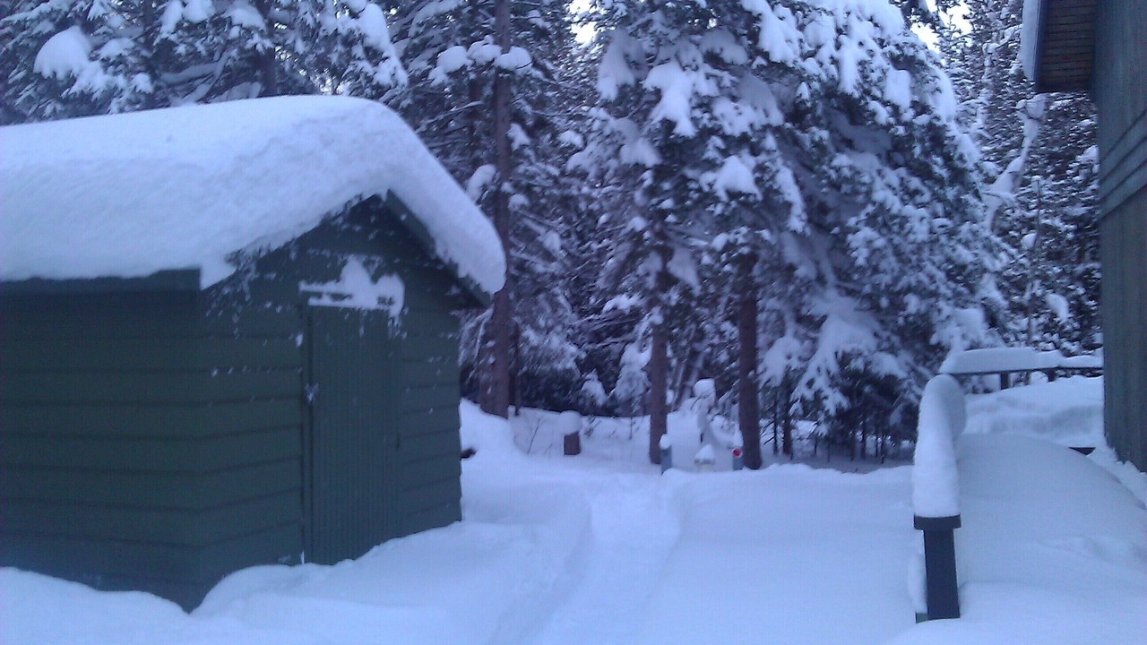 Photo of Outdoor in Cheboygan County