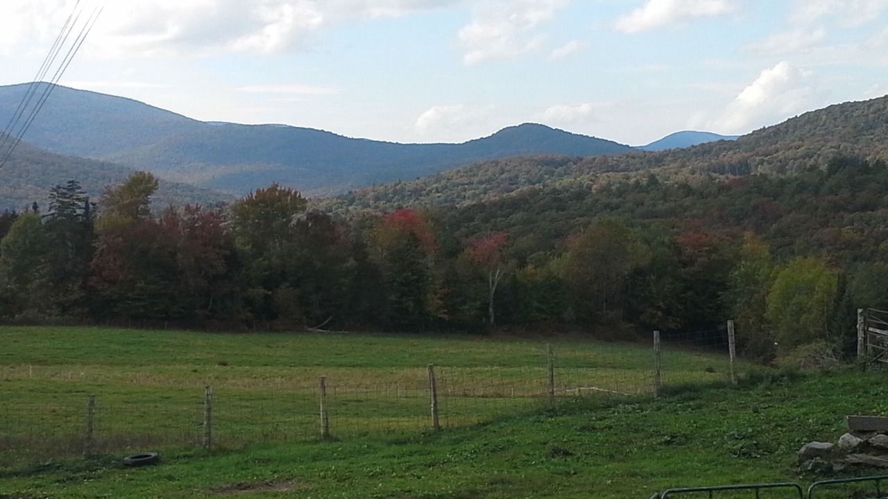 Photo of Outdoor in Rochester