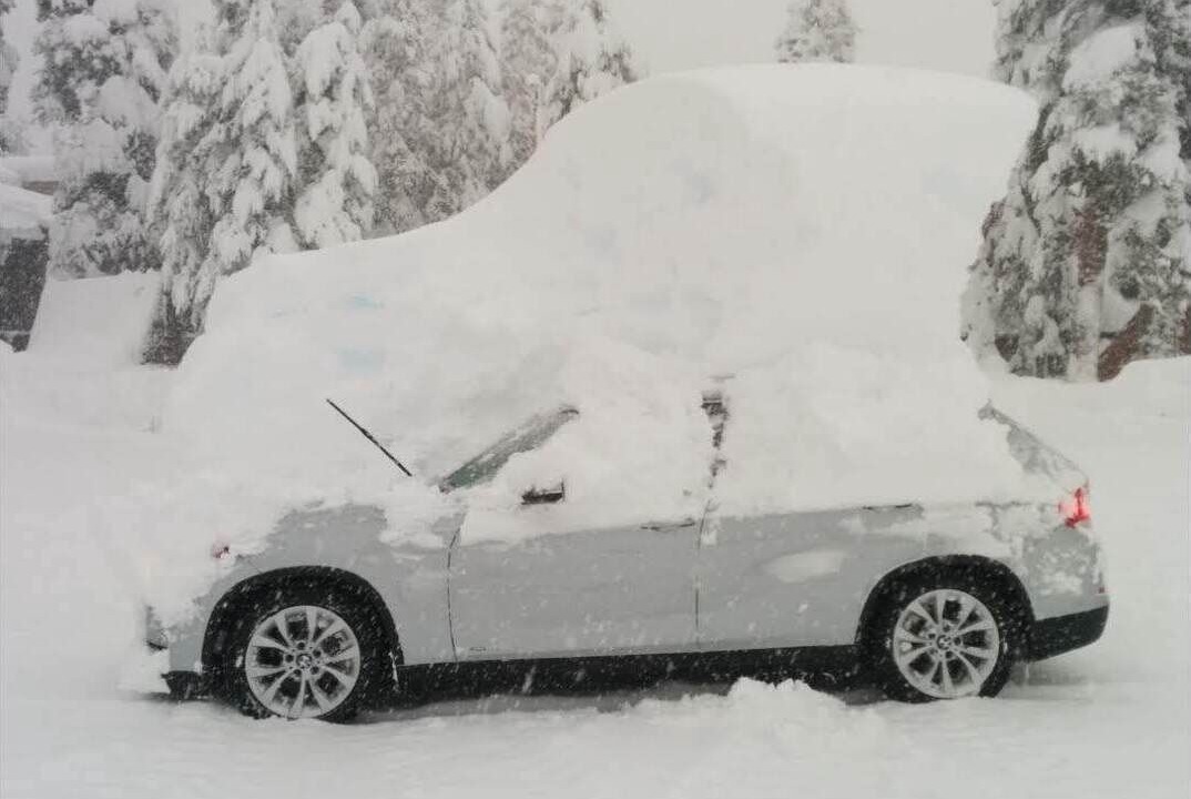 Photo of Others in Bear Valley