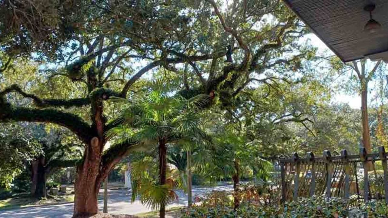 Photo of Outdoor in Hannon Park