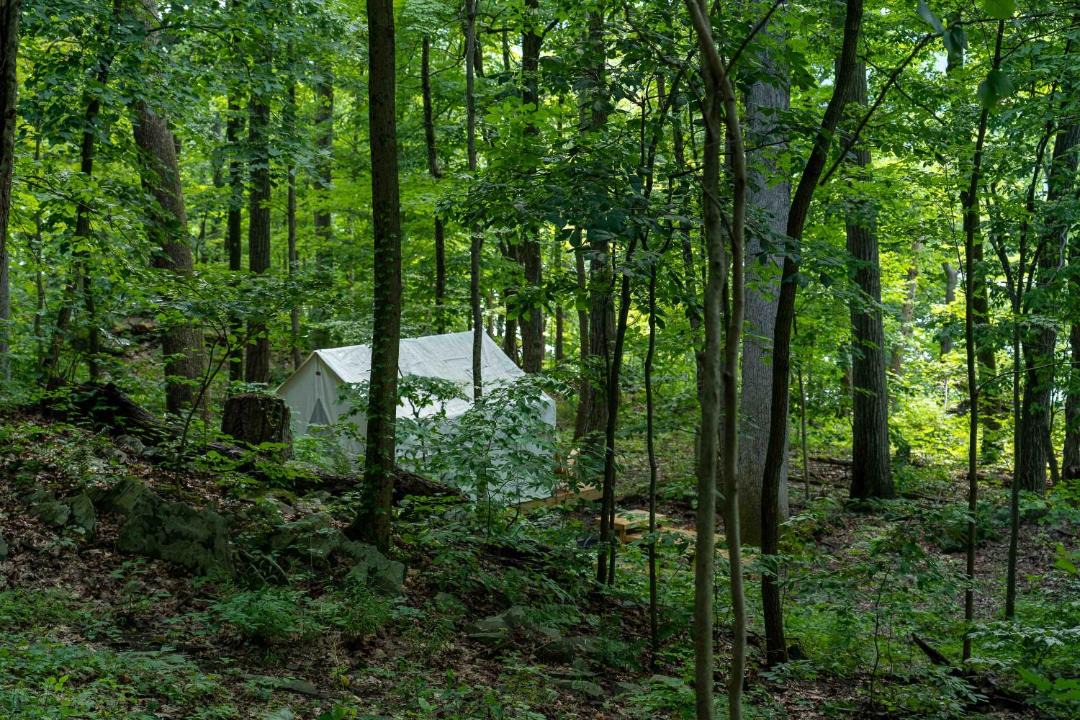 Photo of Outdoor in Staatsburg