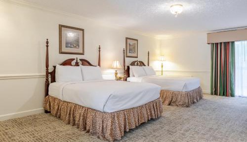 Superior Queen Room