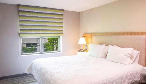 Two Bedroom King Suite with Kitchen
